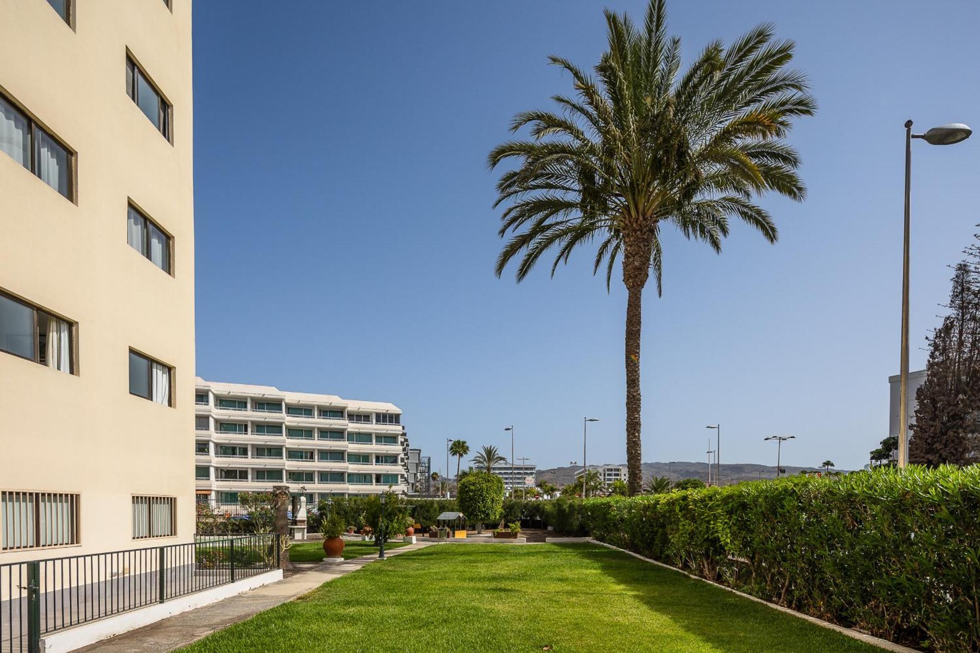 Los Ficus Playa del Ingles  Ngoại thất bức ảnh