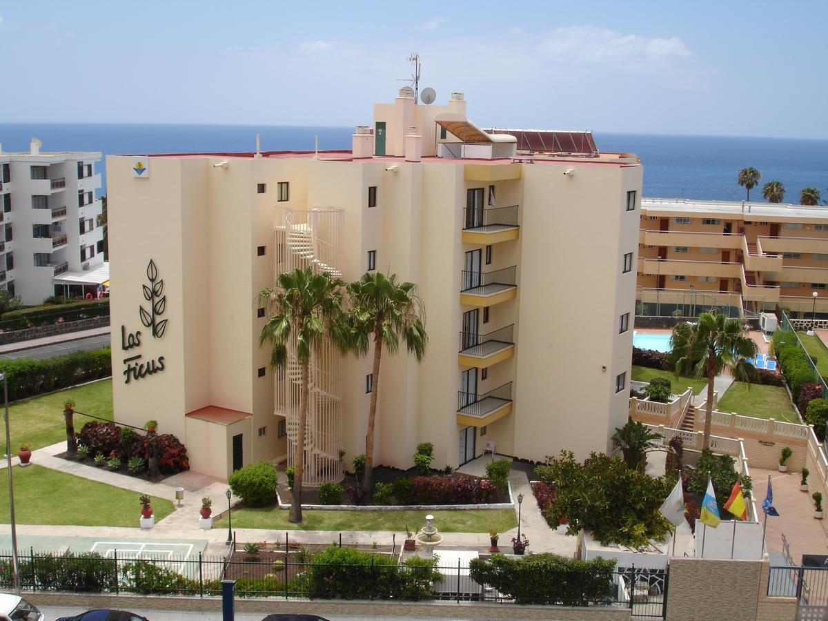 Los Ficus Playa del Ingles  Ngoại thất bức ảnh